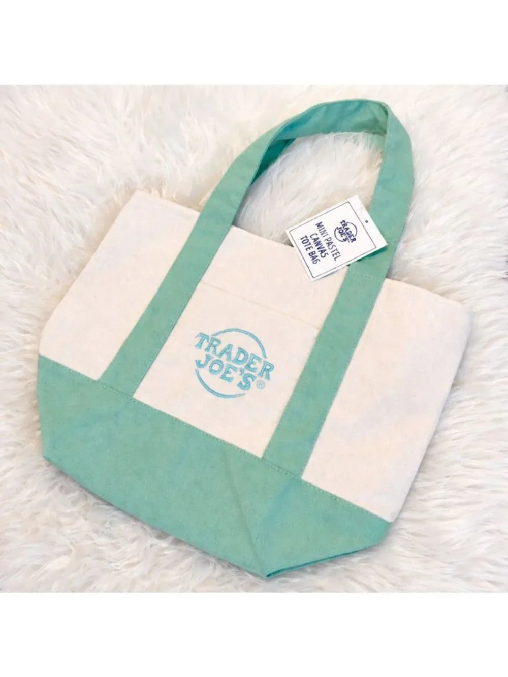 NWT Trader Joe’s Mini Pastel Canvas Tote Bag Mint Green Reusable 2035